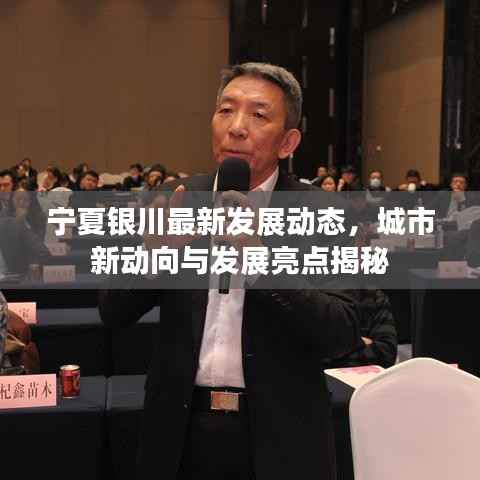 张狂妄行 第2页