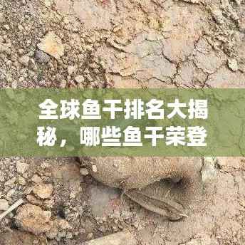 全球鱼干排名大揭秘,哪些鱼干荣登世界之最榜单?