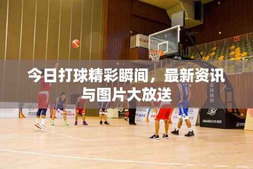 今日打球精彩瞬间，最新资讯与图片大放送