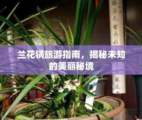 兰花锅旅游指南,揭秘未知的美丽秘境