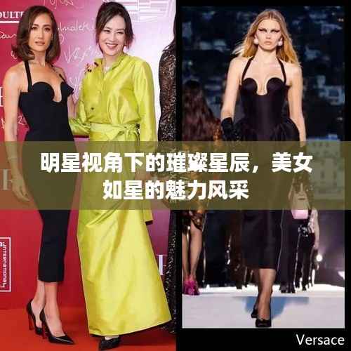 明星视角下的璀璨星辰,美女如星的魅力风采