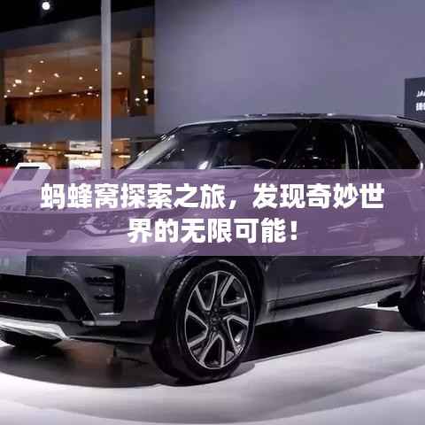 神采奕奕 第2页