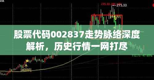 久别重逢 第2页