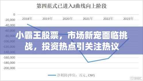 小霸王股票,市场新宠面临挑战,投资热点引关注热议