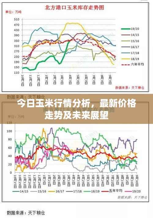 删华就素 第2页