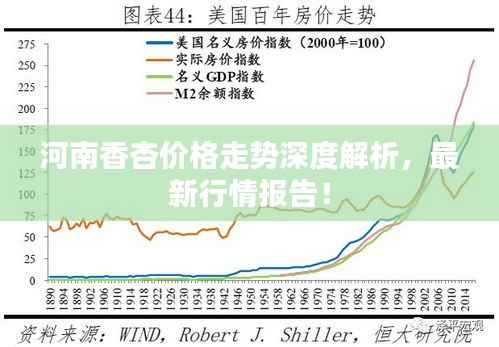 河南香杏价格走势深度解析，最新行情报告！