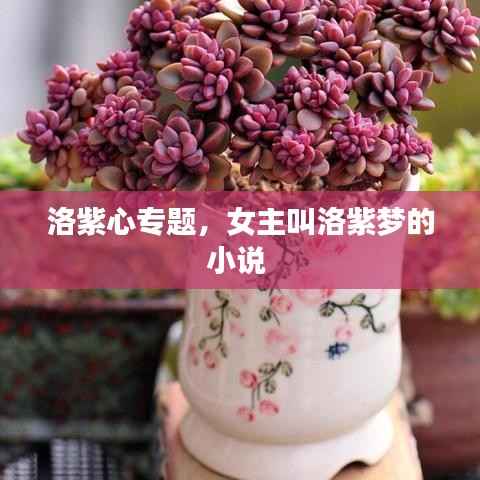 洛紫心专题,女主叫洛紫梦的小说