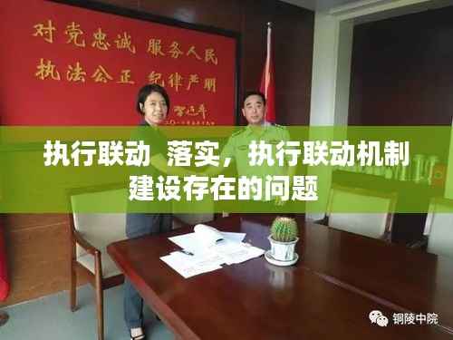 执行联动 落实,执行联动机制建设存在的问题