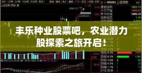 不怕一万，就怕万一 第2页