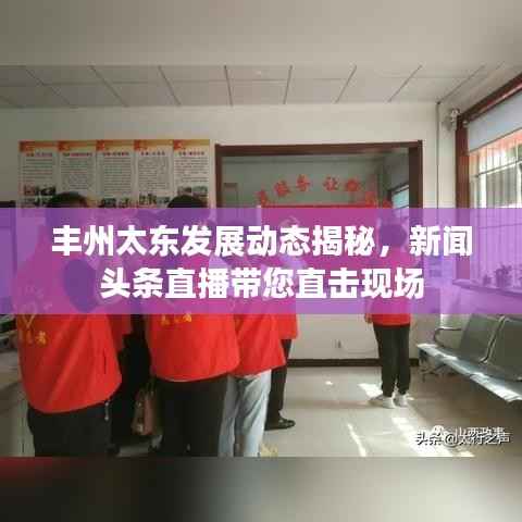 丰州太东发展动态揭秘，新闻头条直播带您直击现场