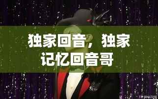 独家回音,独家记忆回音哥