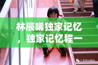 各就各位 第2页