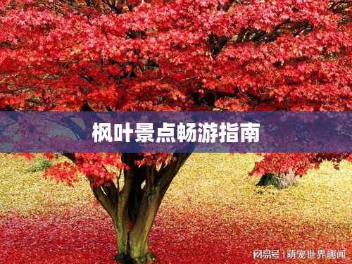 津津有味 第2页