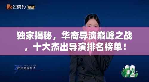 独家揭秘,华裔导演巅峰之战,十大杰出导演排名榜单!