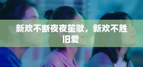 新欢不断夜夜笙歌,新欢不胜旧爱
