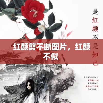 红颜剪不断图片,红颜不似