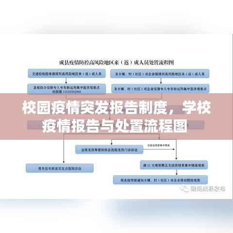 校园疫情突发报告制度，学校疫情报告与处置流程图 