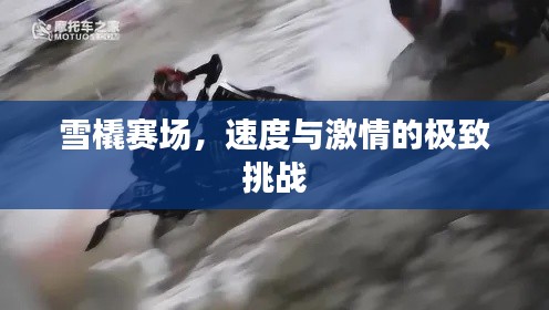 雪橇赛场，速度与激情的极致挑战