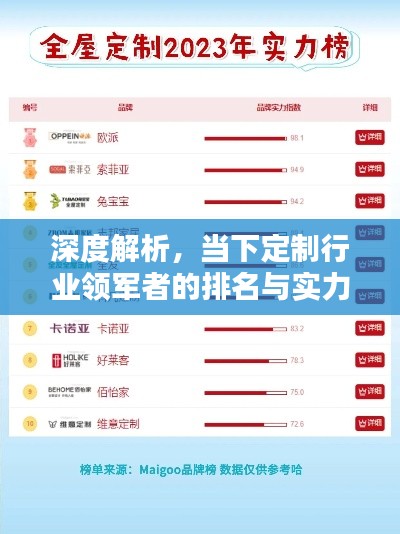 深度解析,当下定制行业领军者的排名与实力比拼!