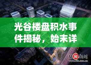 jujianyonggui 第2页