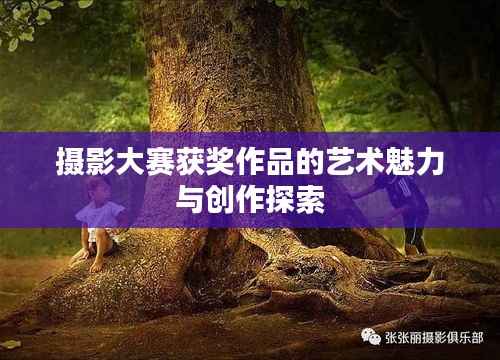 纲挈目张 第2页