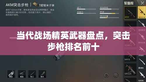 当代战场精英武器盘点，突击步枪排名前十