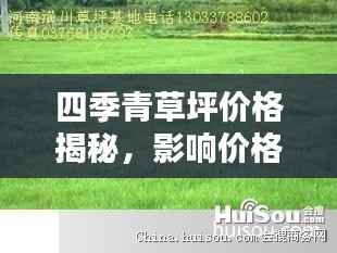 四季青草坪价格揭秘,影响价格的因素全解析