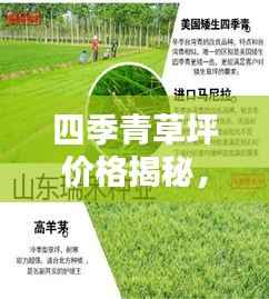 四季青草坪价格揭秘,影响价格的因素全解析
