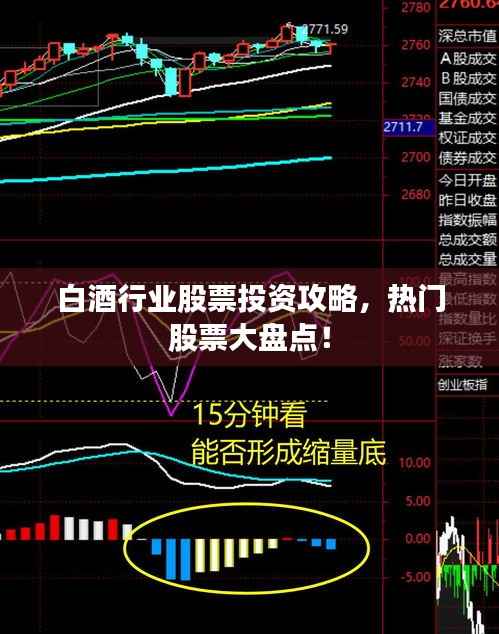 白酒行业股票投资攻略，热门股票大盘点！