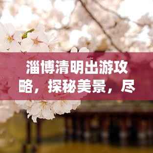 将机就机 第2页