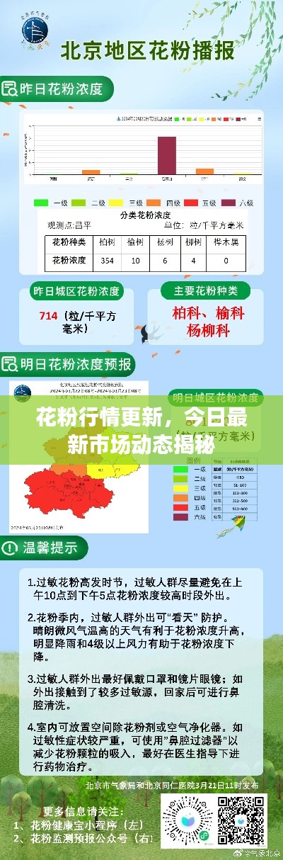 花粉行情更新,今日最新市场动态揭秘