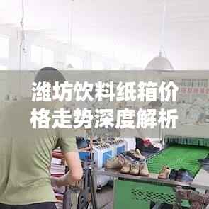 潍坊饮料纸箱价格走势深度解析