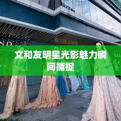 文和友明星光影魅力瞬间捕捉