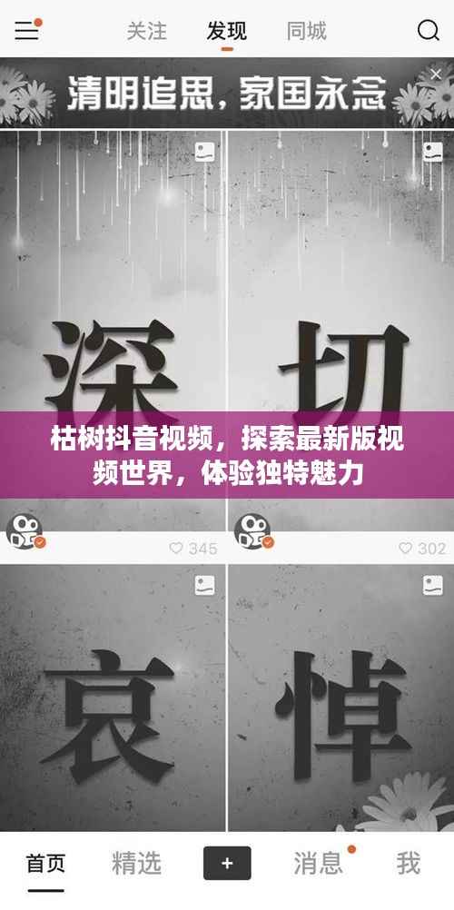 枯树抖音视频,探索最新版视频世界,体验独特魅力