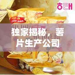 独家揭秘,薯片生产公司排名榜单!