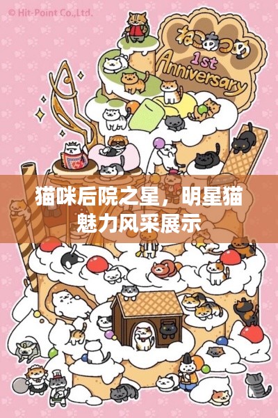 猫咪后院之星,明星猫魅力风采展示