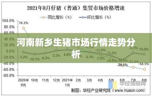 河南新乡生猪市场行情走势分析