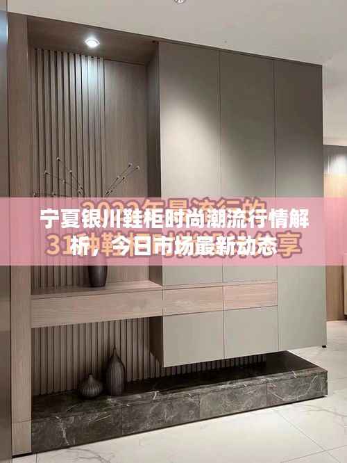 宁夏银川鞋柜时尚潮流行情解析，今日市场最新动态