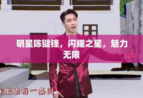 明星陈键锋，闪耀之星，魅力无限