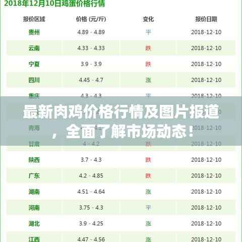 最新肉鸡价格行情及图片报道，全面了解市场动态！