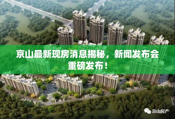 京山最新现房消息揭秘，新闻发布会重磅发布！