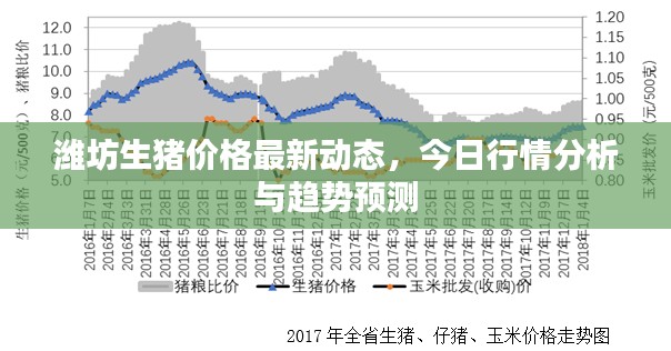 潍坊生猪价格最新动态，今日行情分析与趋势预测